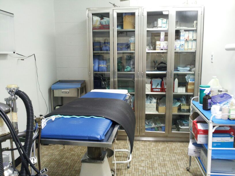 winchesteranimalhospital / Surgery